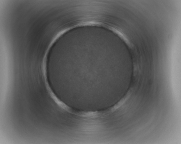 X0000113551038200909251034