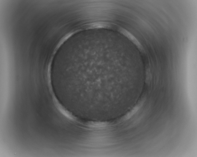 X0000113551039200909251034