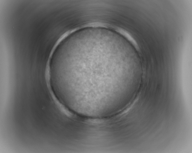 X0000113551040200909251034