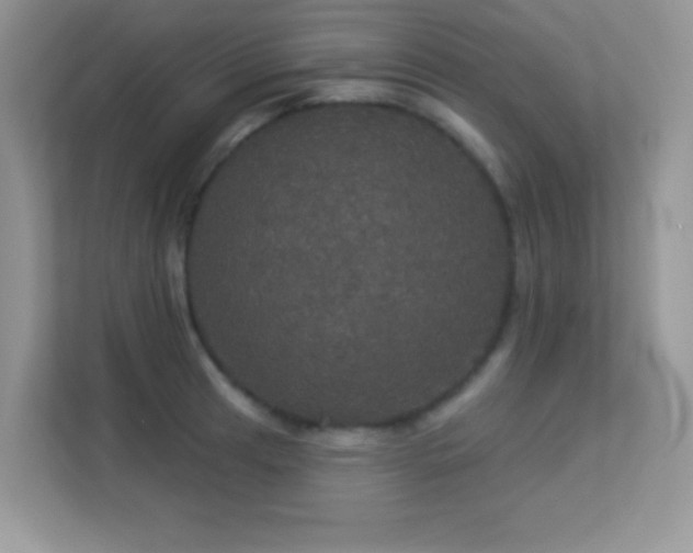 X0000113551041200909251034