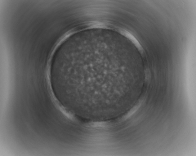 X0000113551043200909251034