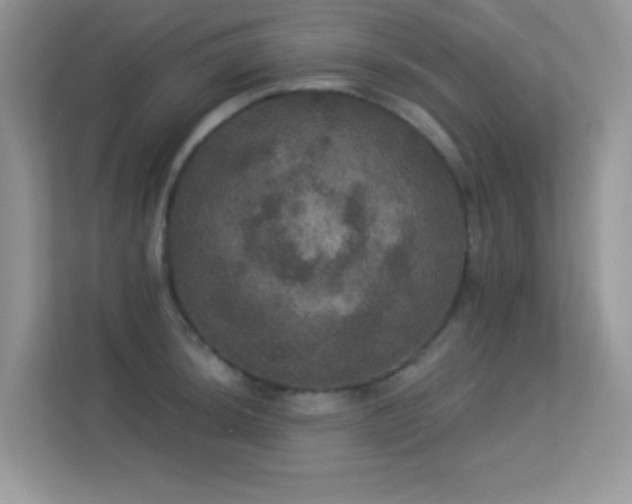 X0000113551044200909251034