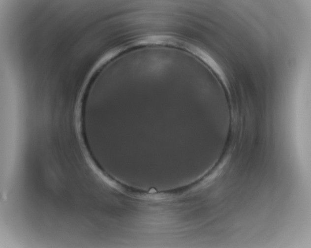 X0000113551045200909251034