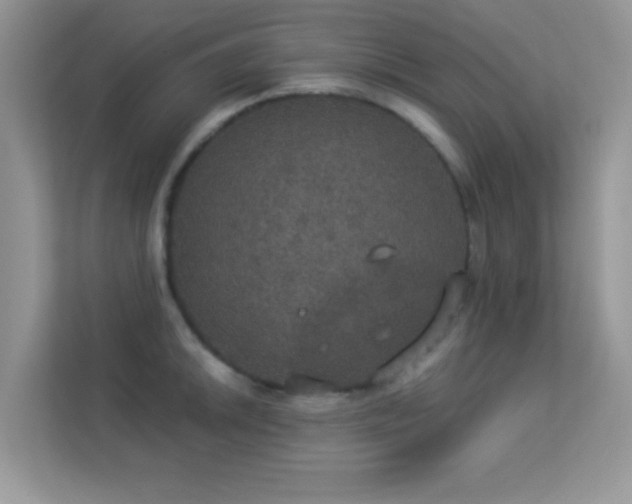 X0000113551046200909251034