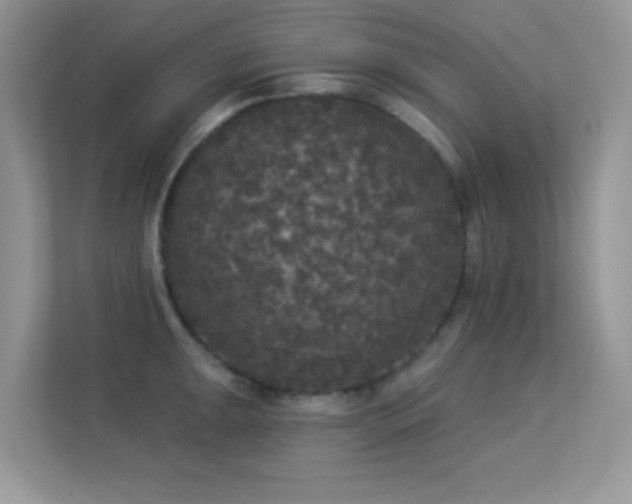 X0000113551047200909251034