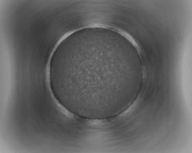 X0000113551048200909251034