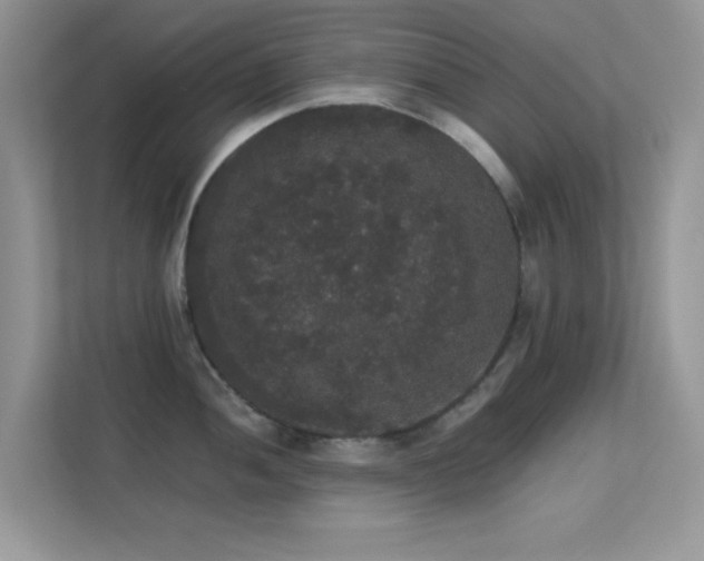 X0000113551052200909251034