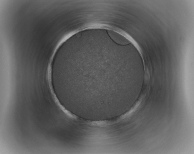 X0000113551053200909251034