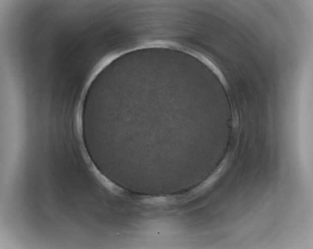 X0000113551054200909251034