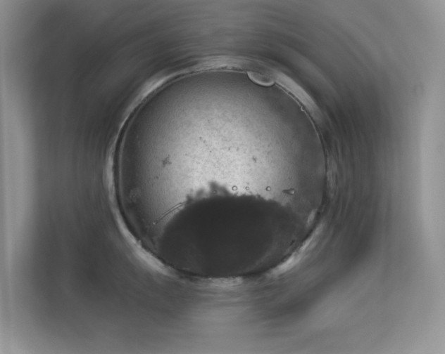 X0000113551055200909251034