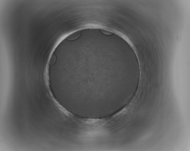 X0000113551056200909251034