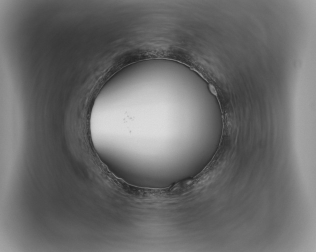 X0000113551057200909251033