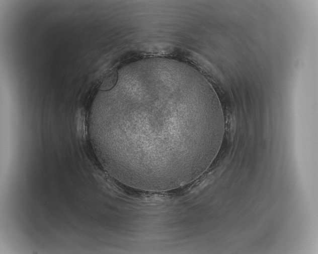 X0000113551058200909251033