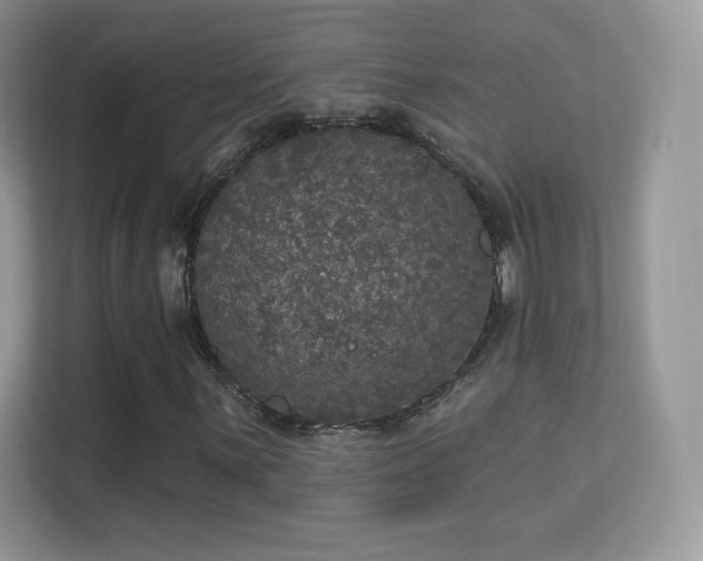 X0000113551059200909251033