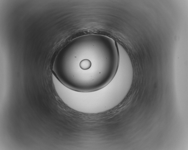 X0000113551060200909251033