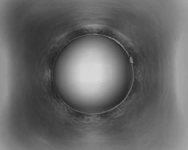 X0000113551061200909251033