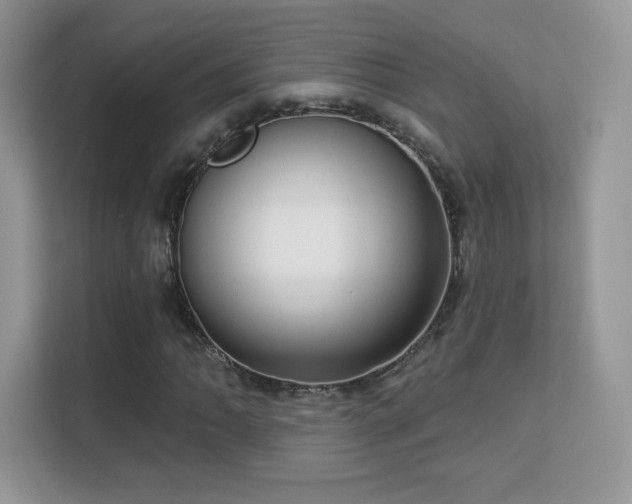 X0000113551062200909251033