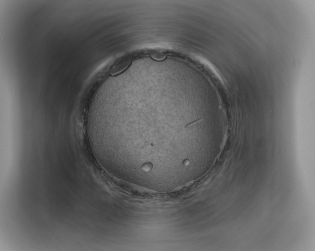 X0000113551064200909251033