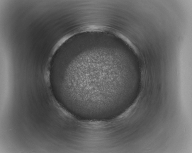 X0000113551066200909251033