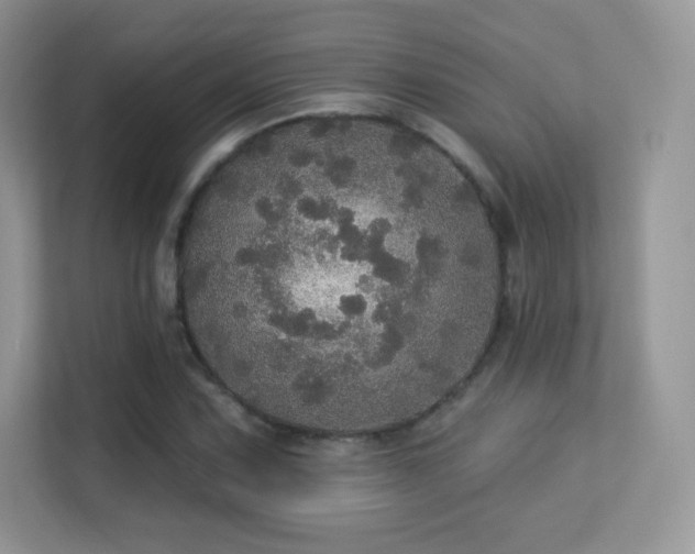 X0000113551067200909251033