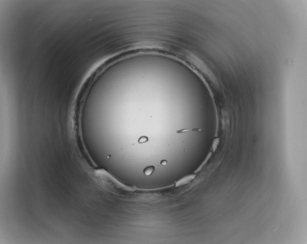 X0000113551068200909251033