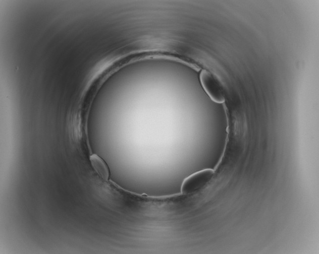 X0000113551069200909251033