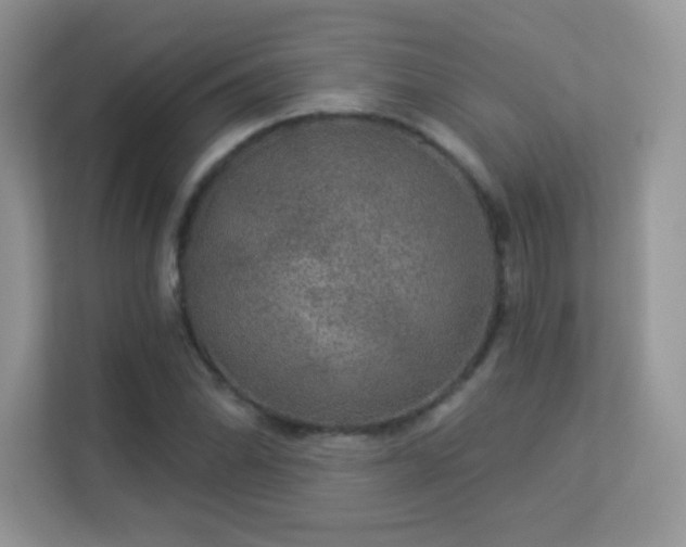 X0000113551070200909251033