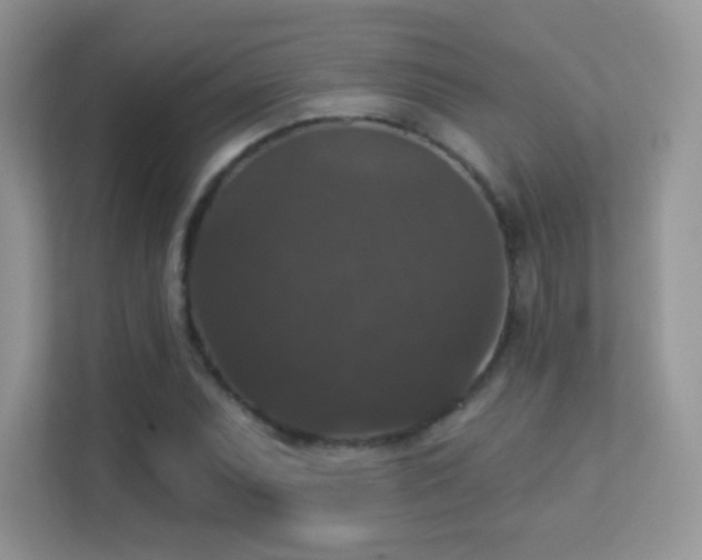 X0000113551071200909251033