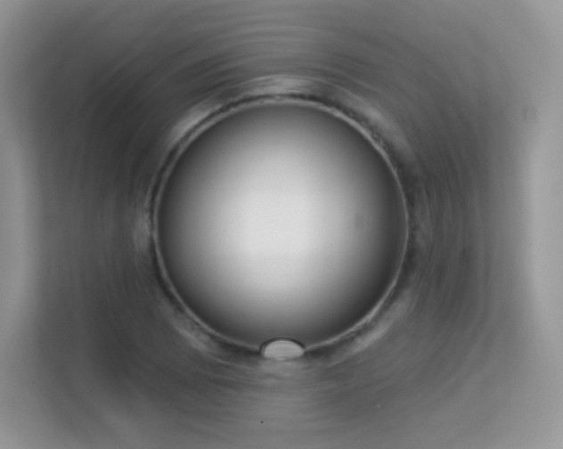 X0000113551073200909251033