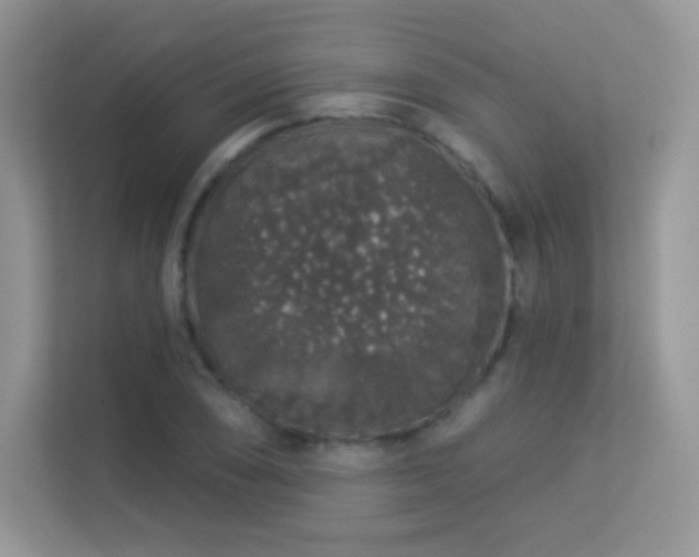 X0000113551074200909251033