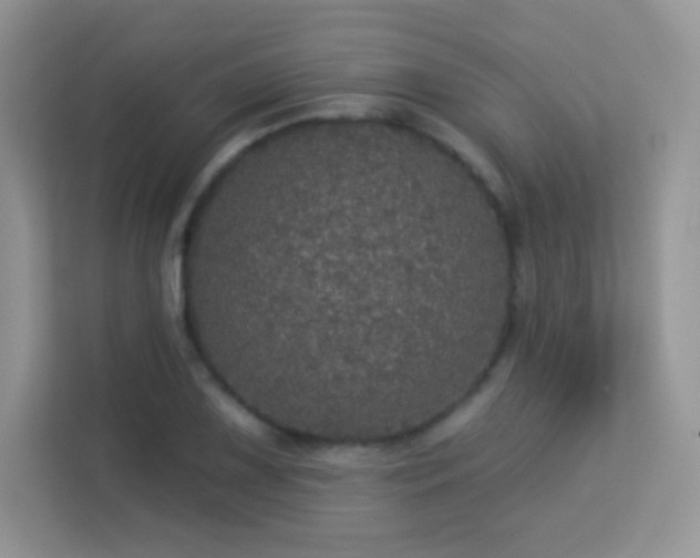 X0000113551075200909251033