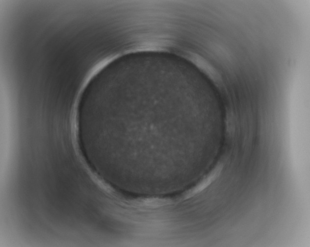 X0000113551077200909251033