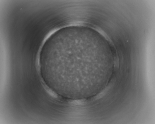 X0000113551078200909251033