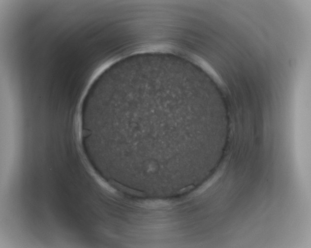 X0000113551079200909251033