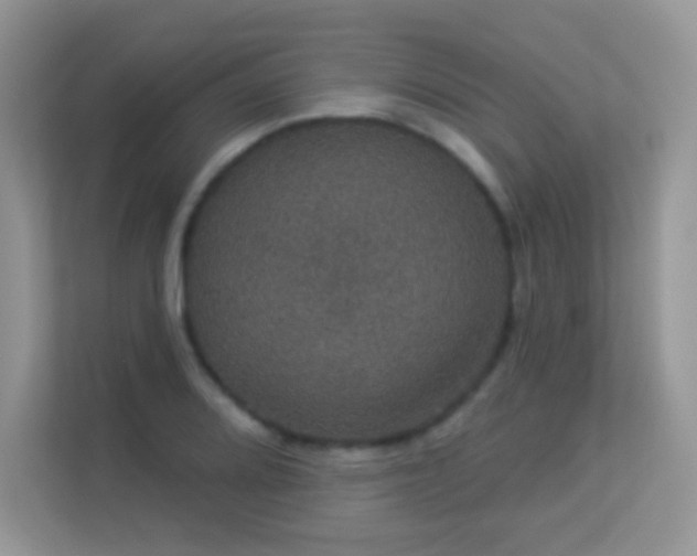 X0000113551080200909251033