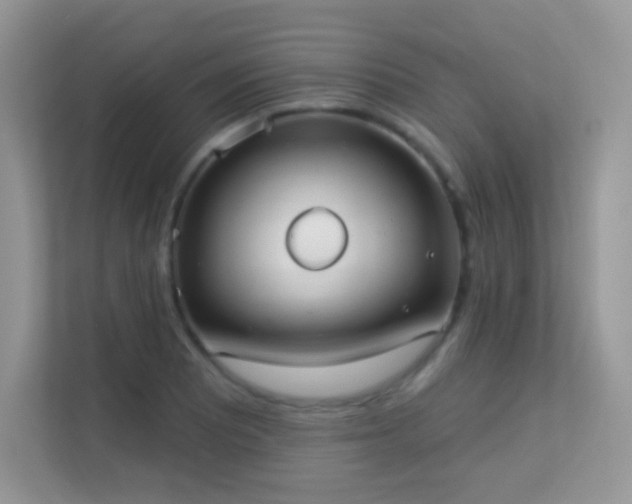 X0000113551081200909251033