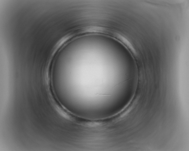 X0000113551082200909251033