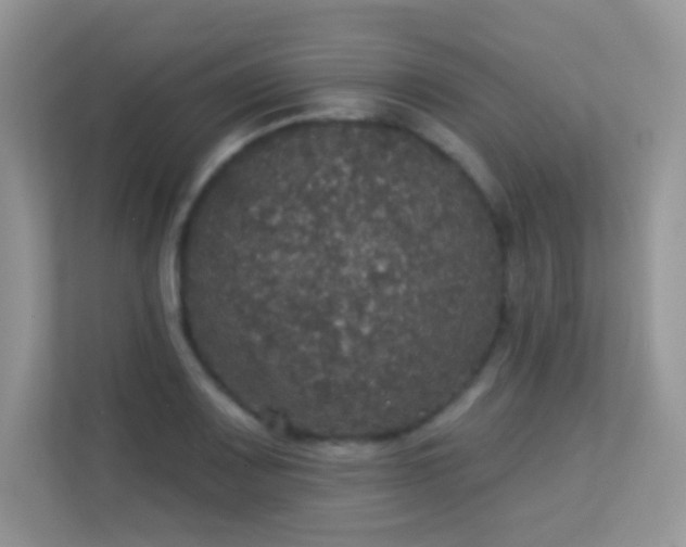 X0000113551083200909251033