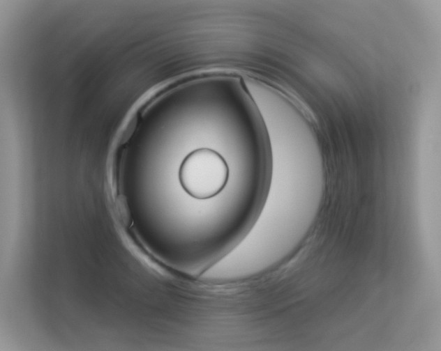 X0000113551084200909251033