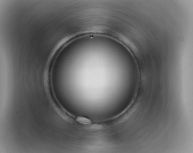 X0000113551085200909251033