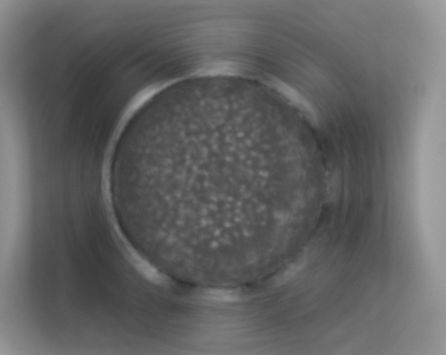 X0000113551086200909251033