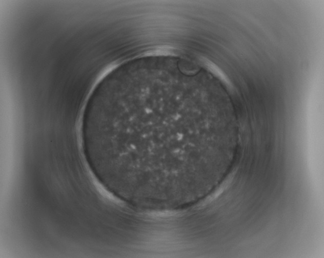 X0000113551087200909251033