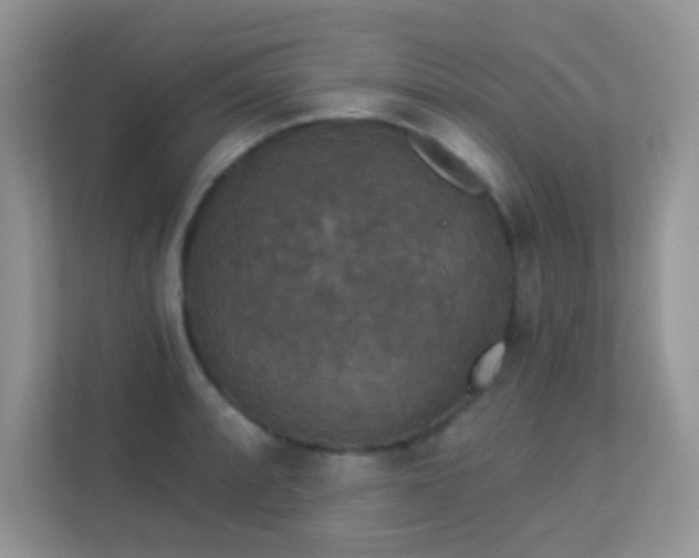 X0000113551088200909251033