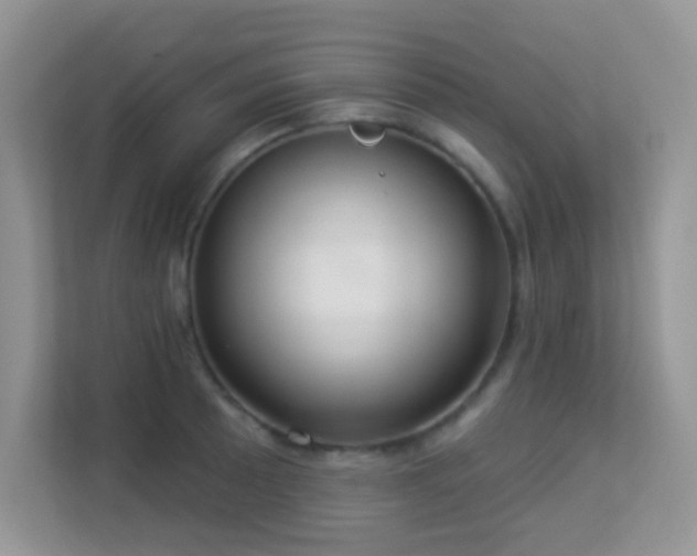 X0000113551089200909251033