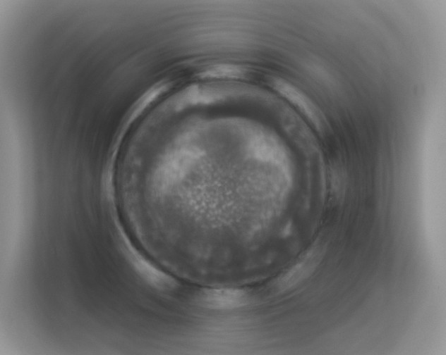 X0000113551090200909251033