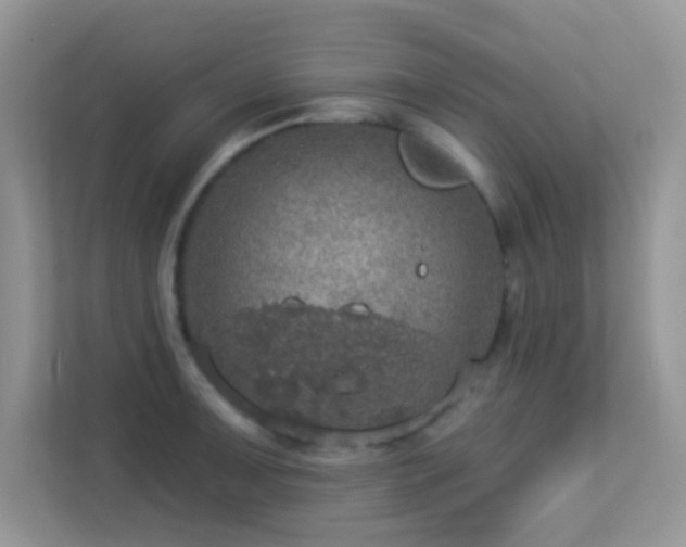 X0000113551091200909251033