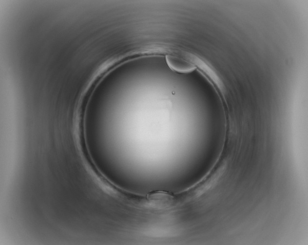 X0000113551093200909251033