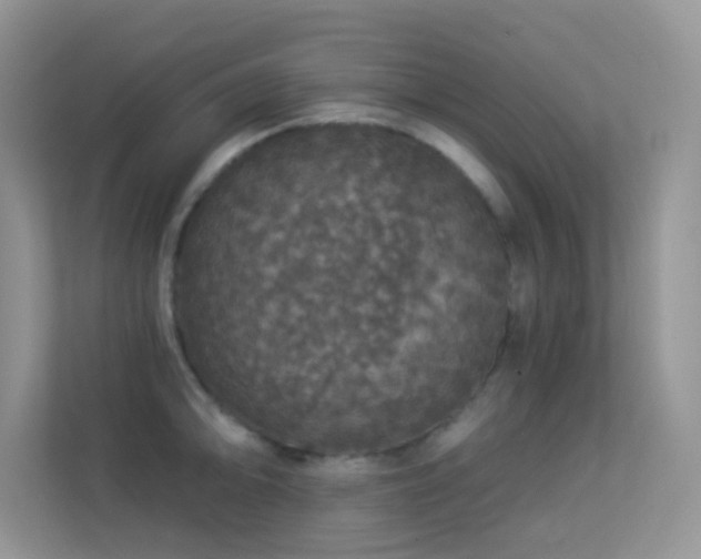 X0000113551094200909251033