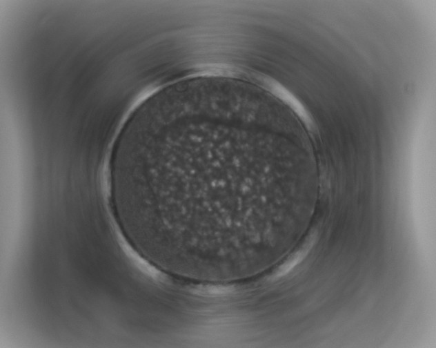 X0000113551095200909251033