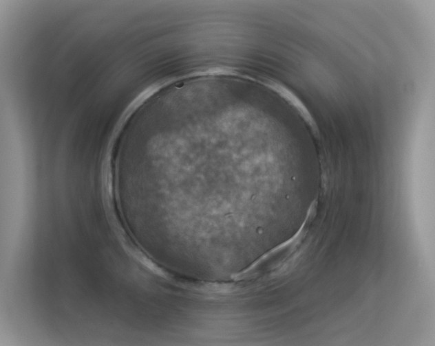 X0000113551096200909251033